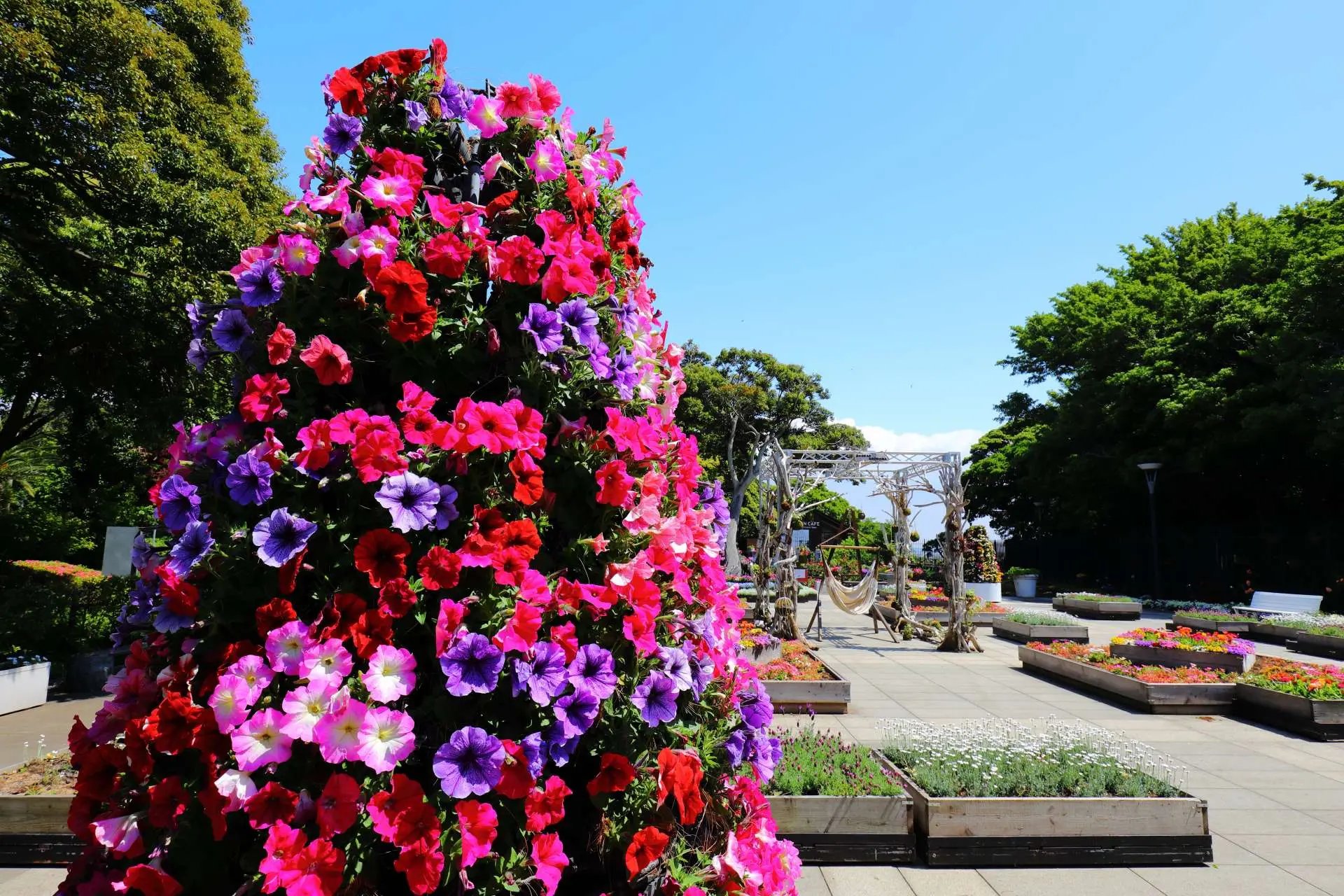 🌿 에노시마 사무엘 코킹 정원 (Enoshima Samuel Cocking Garden) 이미지 8